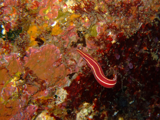 f:id:deep_in:20141021145228j:image:h150