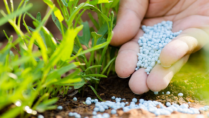 f:id:deepakkumarwts:20180521183346p:plain