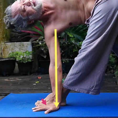 f:id:deepbali1218:20211229104842j:image f:id:deepbali1218:20211229104842j:image