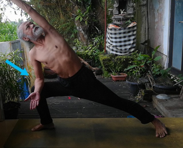 f:id:deepbali1218:20220109133219j:image f:id:deepbali1218:20220109133219j:image