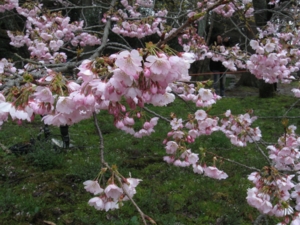 f:id:deepbreathing:20120404182807j:image