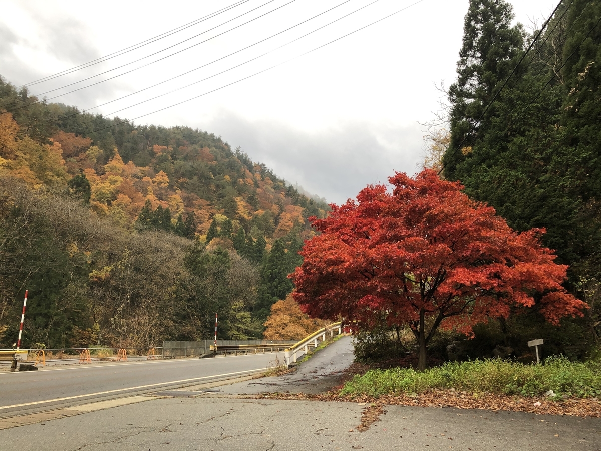 f:id:deepneuron:20191116155920j:plain f:id:deepneuron:20191116155920j:plain