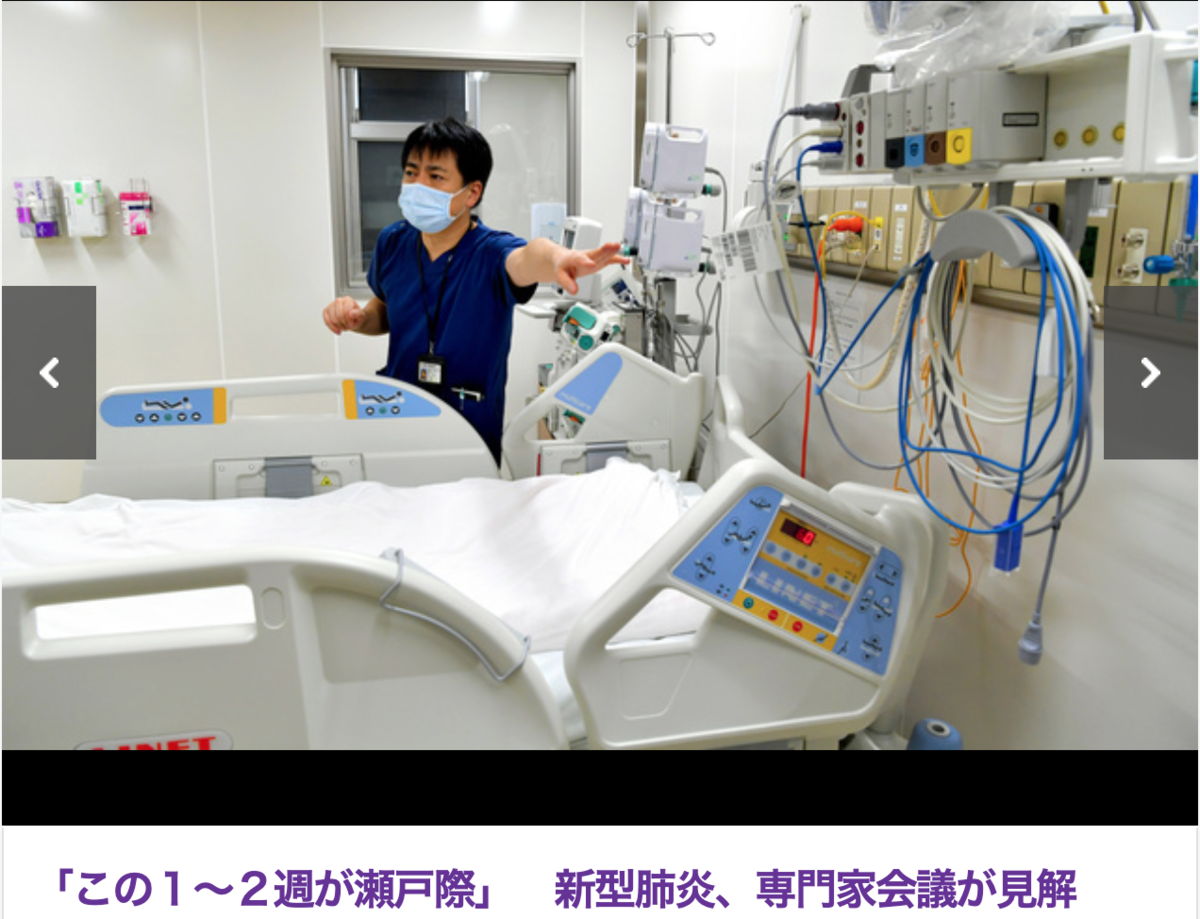 f:id:deepredrose:20200225205143p:plain