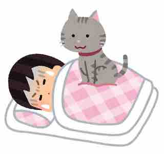 f:id:deepredrose:20210217112219j:plain