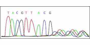 f:id:deepredrose:20210613134706j:plain