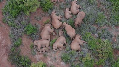 f:id:deepredrose:20210810192253j:plain