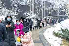 f:id:deepredrose:20220112171441j:plain