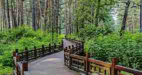f:id:deepredrose:20220117100716j:plain
