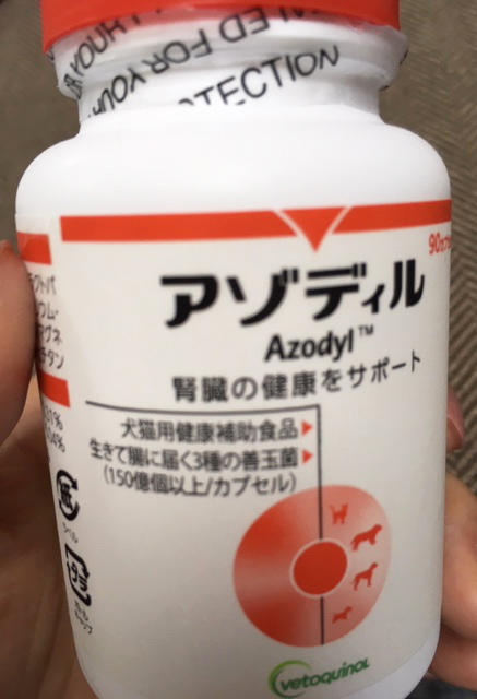 f:id:deepsnow7174:20191027091758j:plain