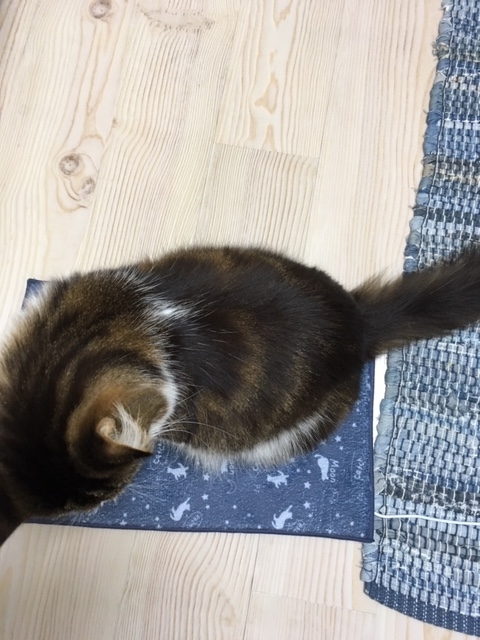 f:id:deepsnow7174:20191203132941j:plain