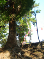 20090919091620