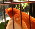 20100327113000