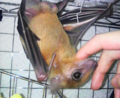 20100519000700