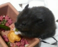 20100708200400