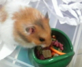 20100708201600