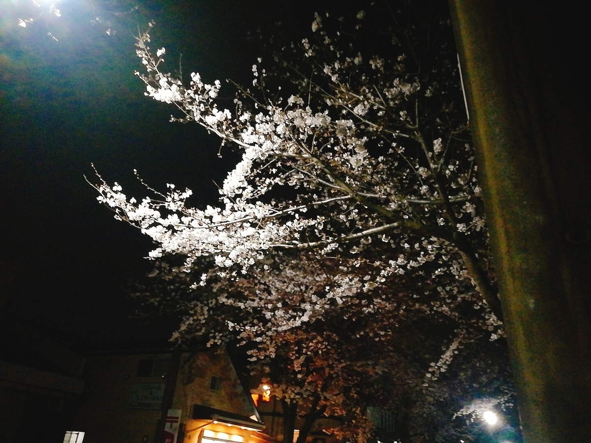 f:id:defectiveness:20200325132935j:plain