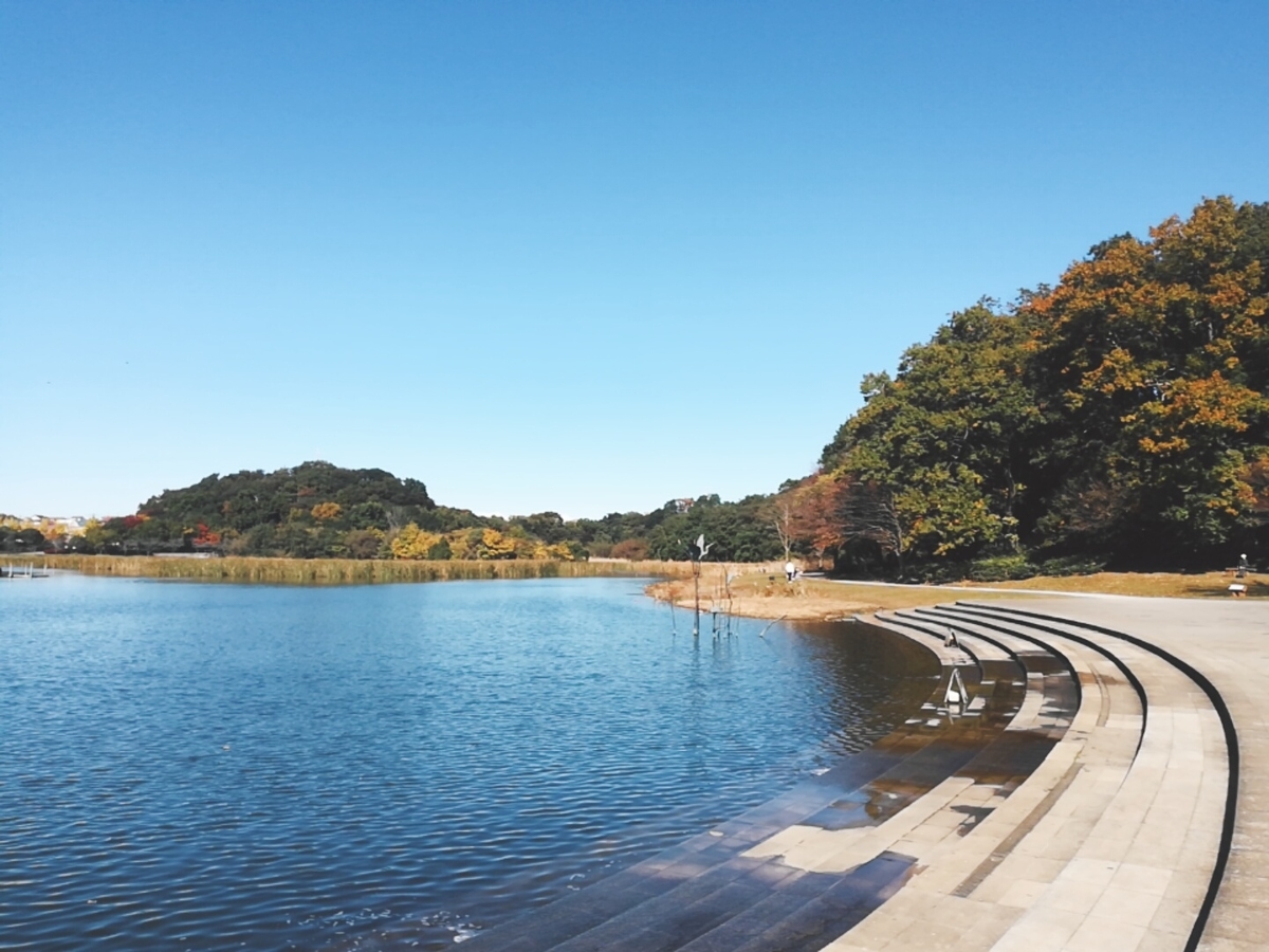 f:id:defectiveness:20201111121638j:plain