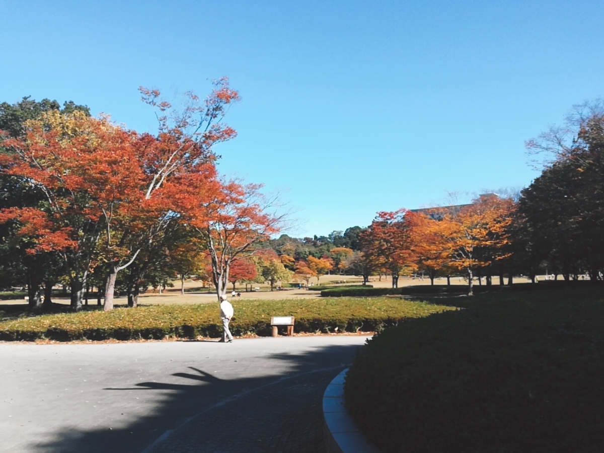 f:id:defectiveness:20201111122719j:plain