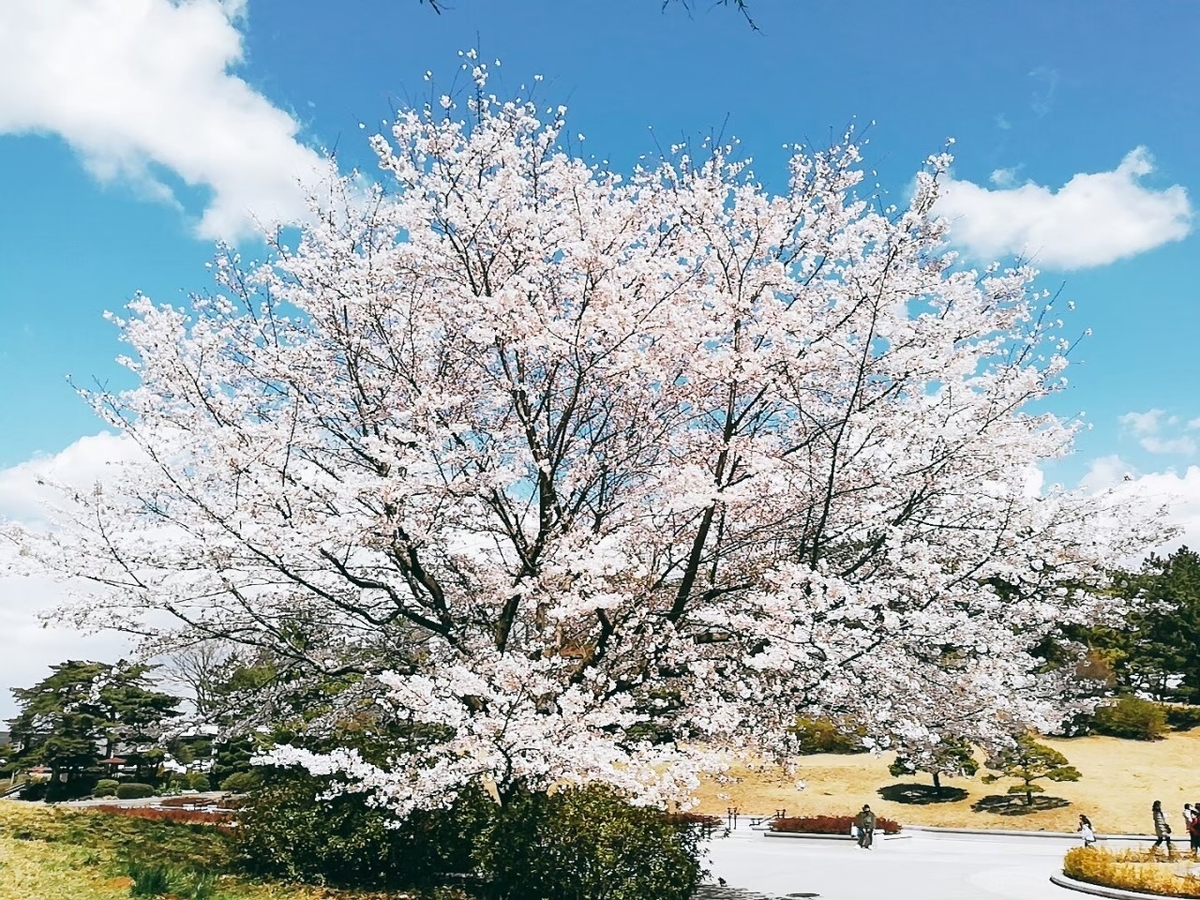 f:id:defectiveness:20210324092645j:plain