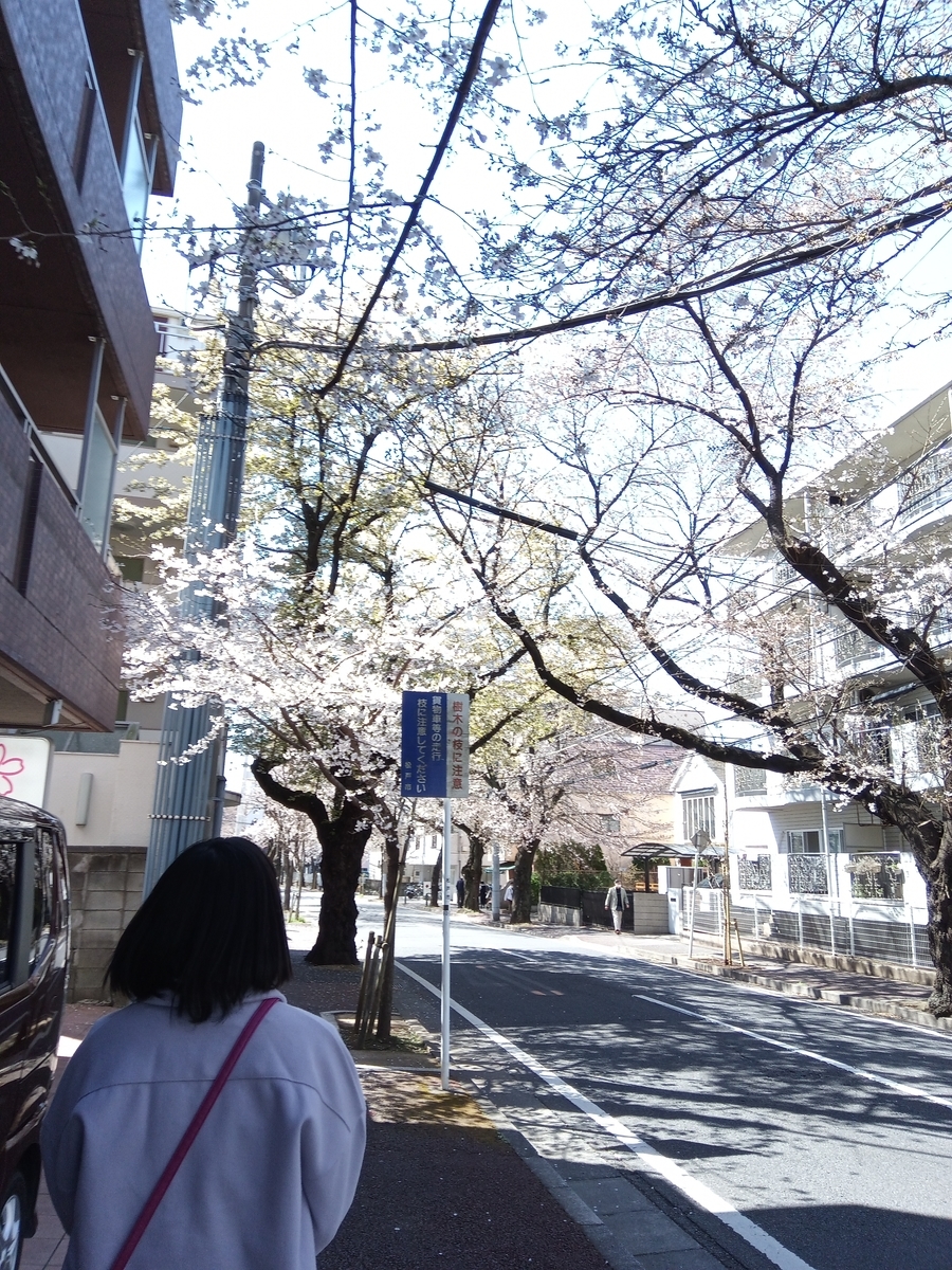 f:id:defectiveness:20210324093252j:plain