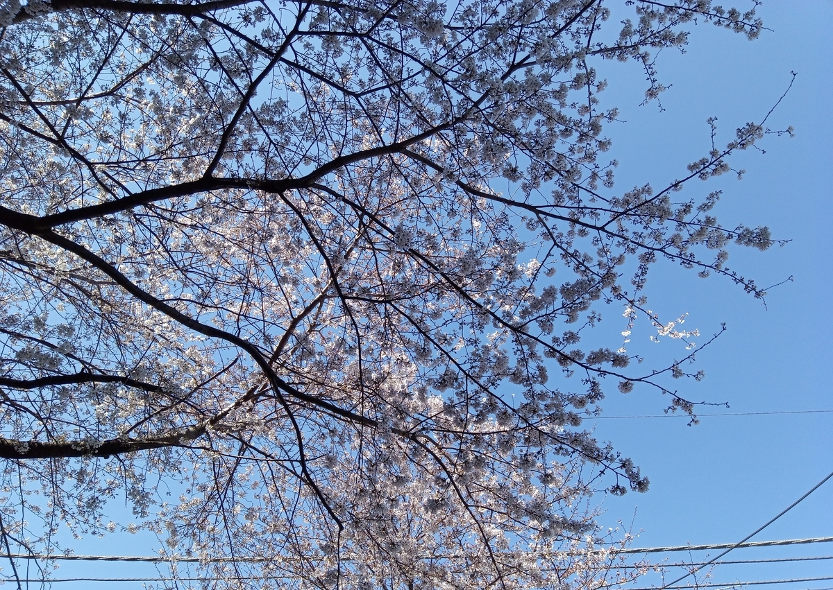 f:id:defectiveness:20210324093353j:plain