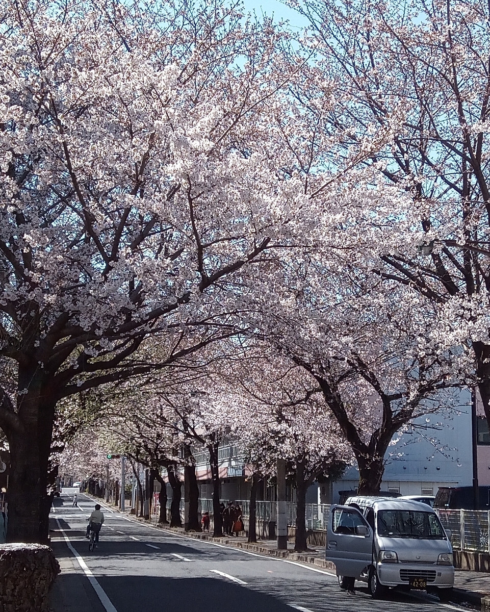 f:id:defectiveness:20210324094152j:plain