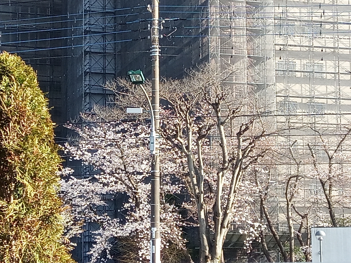 f:id:defectiveness:20210324094249j:plain