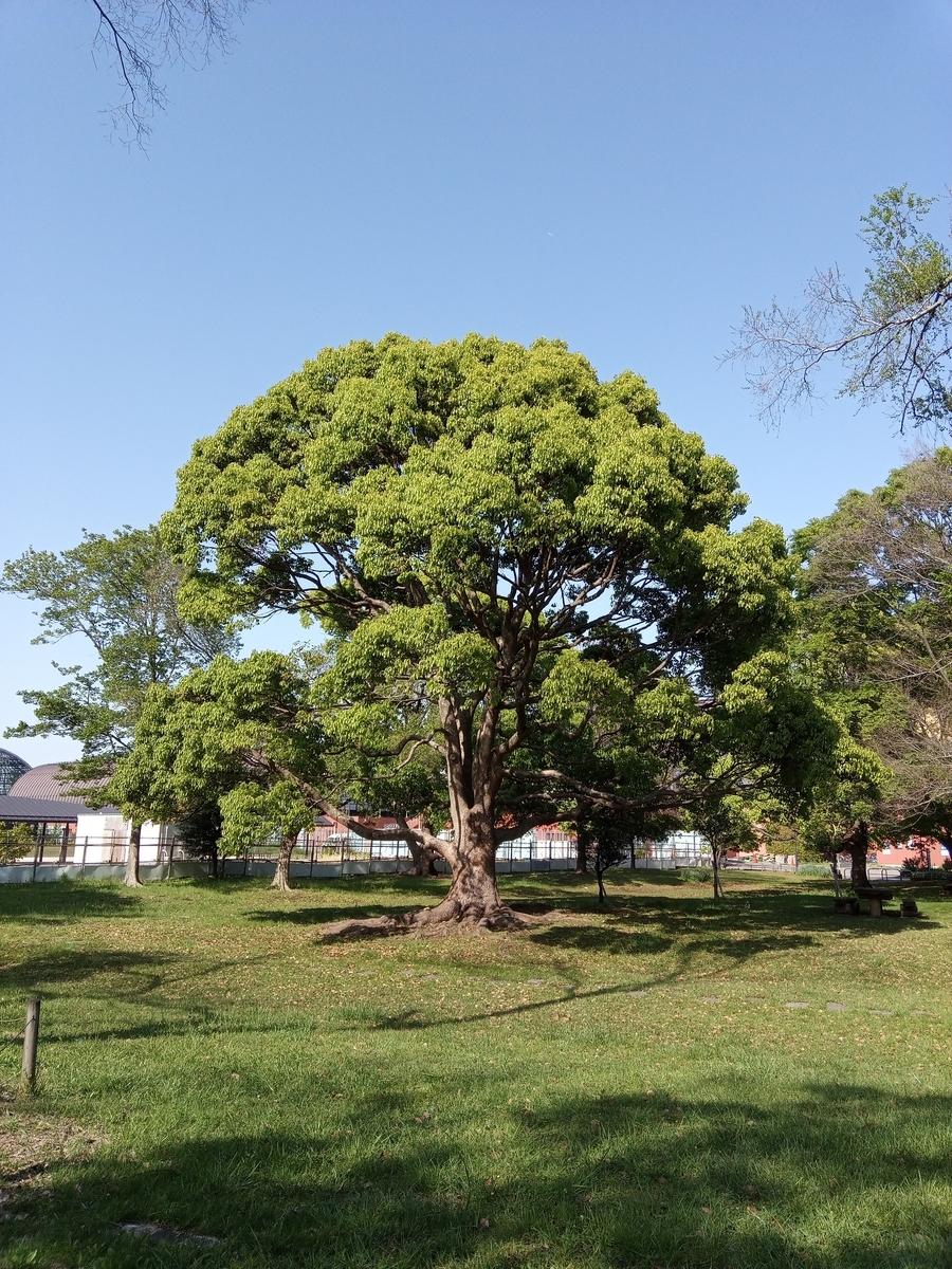 f:id:defectiveness:20210429125135j:plain