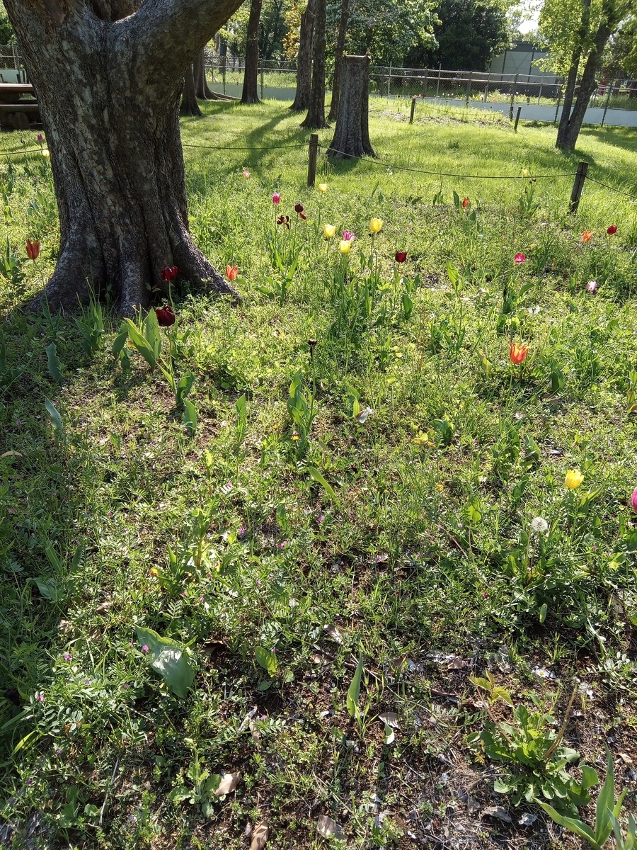 f:id:defectiveness:20210429125351j:plain