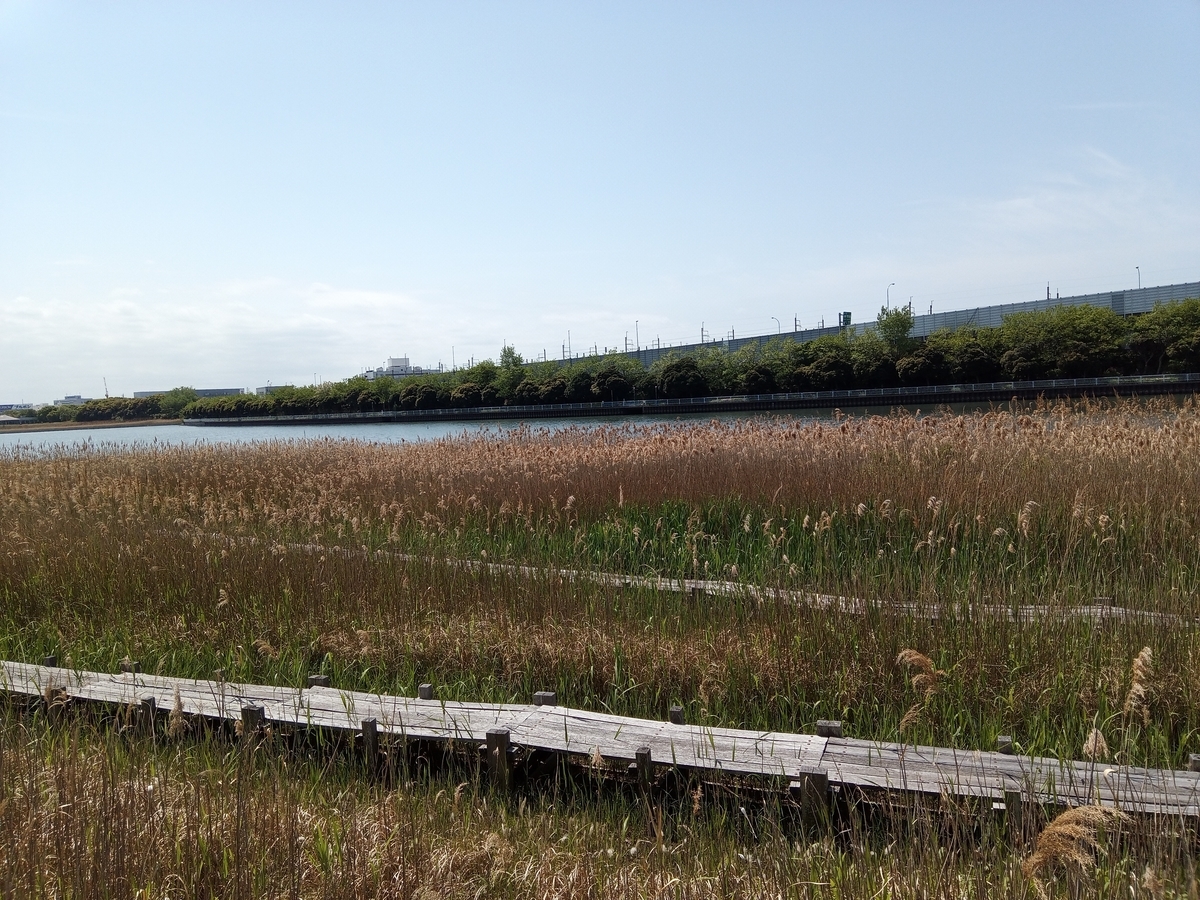 f:id:defectiveness:20210508083727j:plain