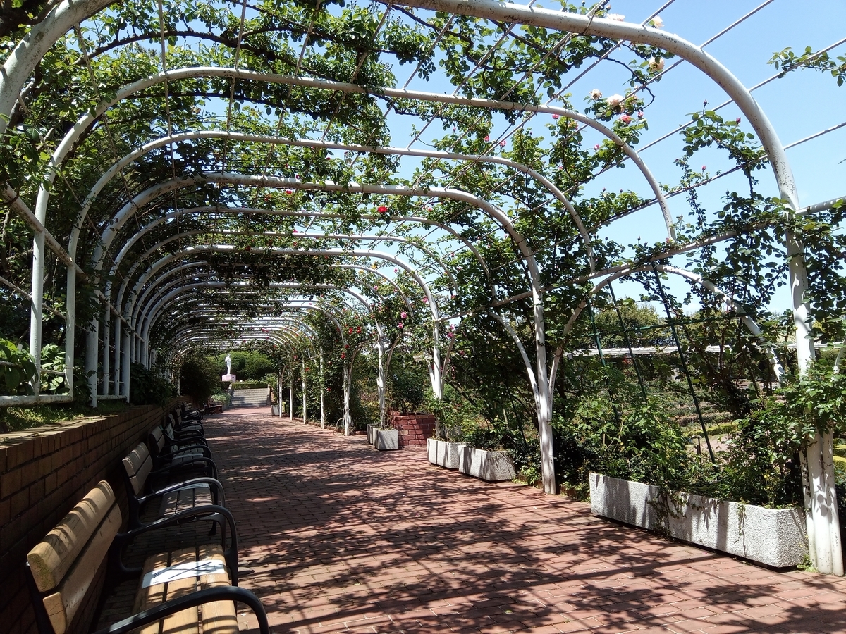 f:id:defectiveness:20210508090030j:plain