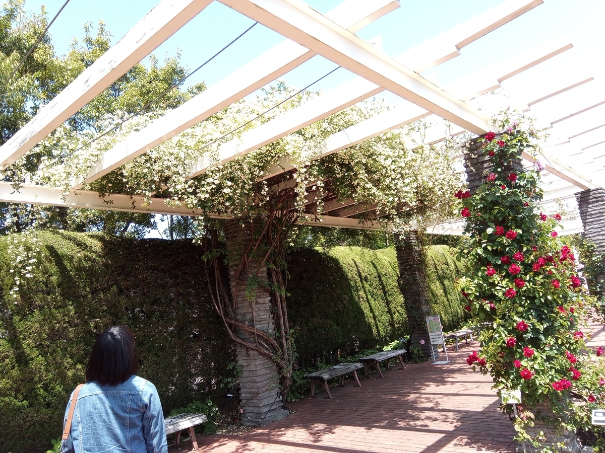 f:id:defectiveness:20210508091617j:plain