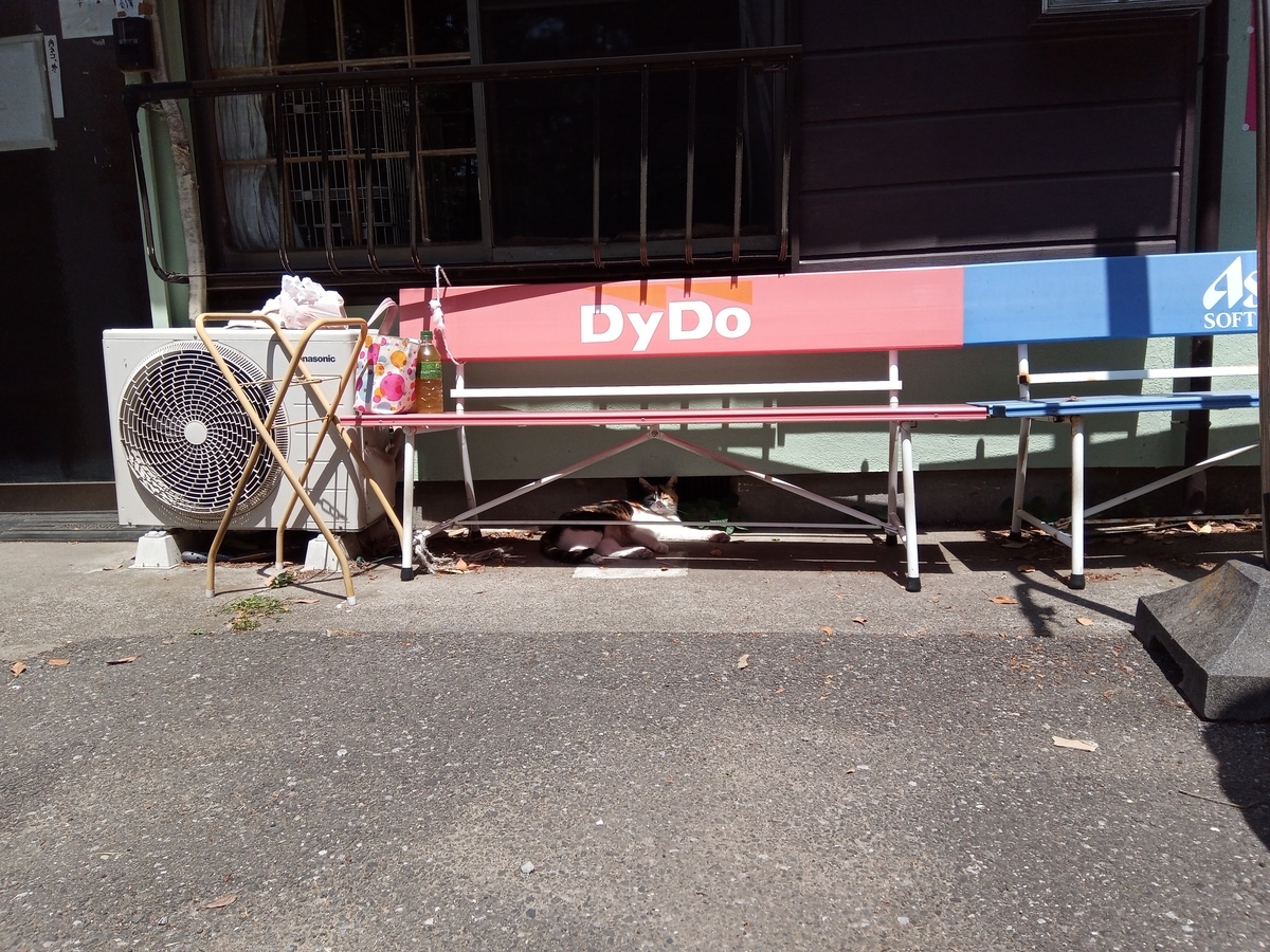 f:id:defectiveness:20210508092243j:plain