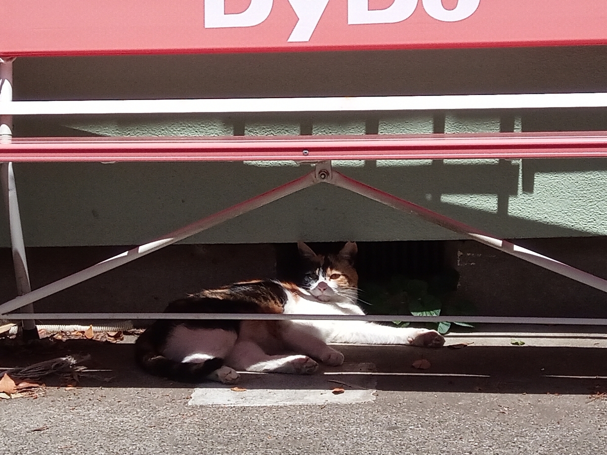 f:id:defectiveness:20210508092327j:plain