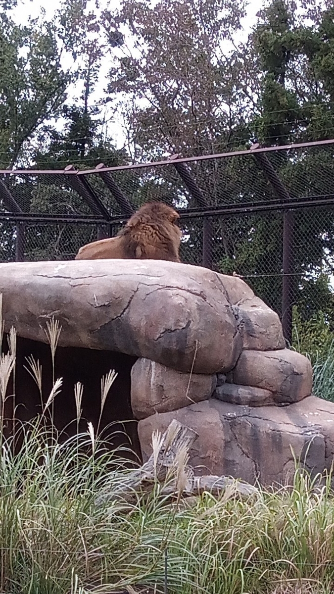 f:id:defectiveness:20211020104045j:plain