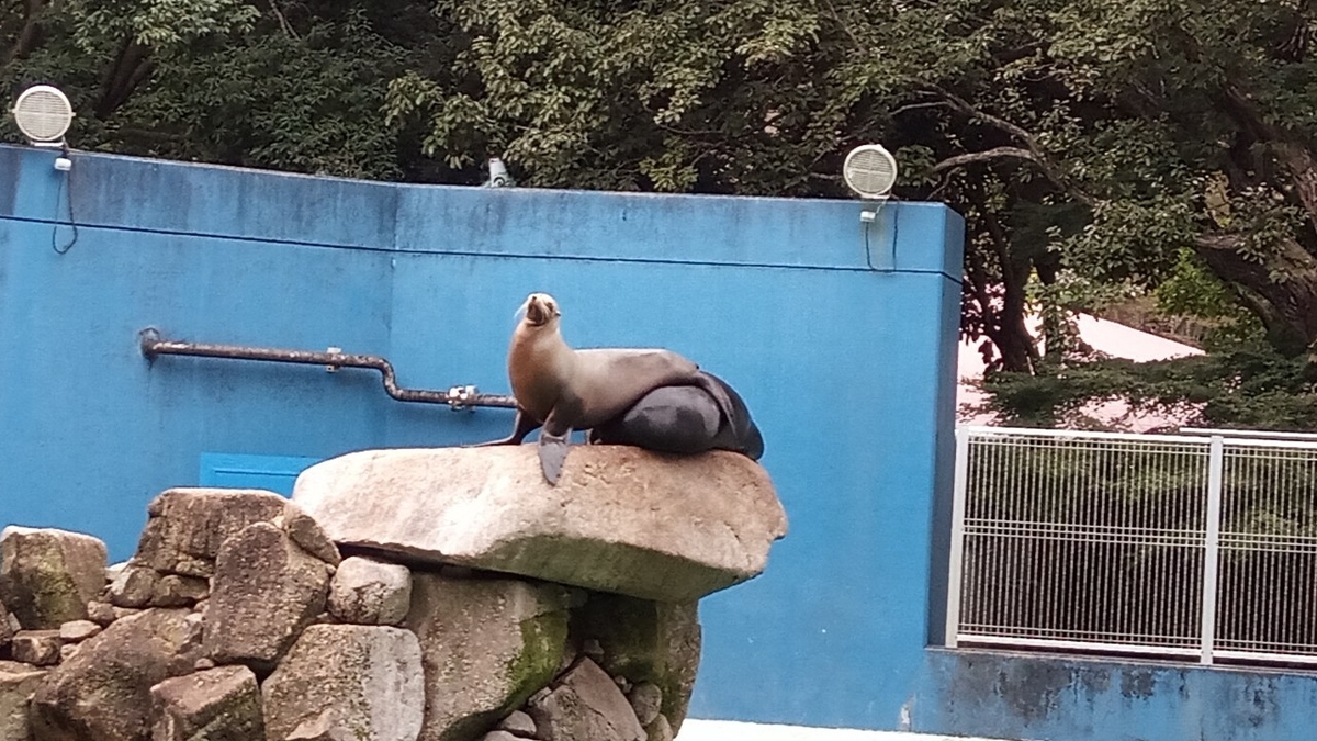 f:id:defectiveness:20211020104101j:plain