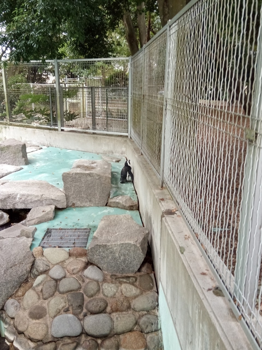 f:id:defectiveness:20211020104306j:plain