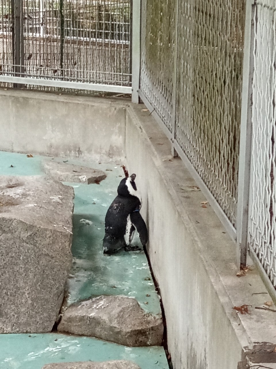 f:id:defectiveness:20211020104320j:plain