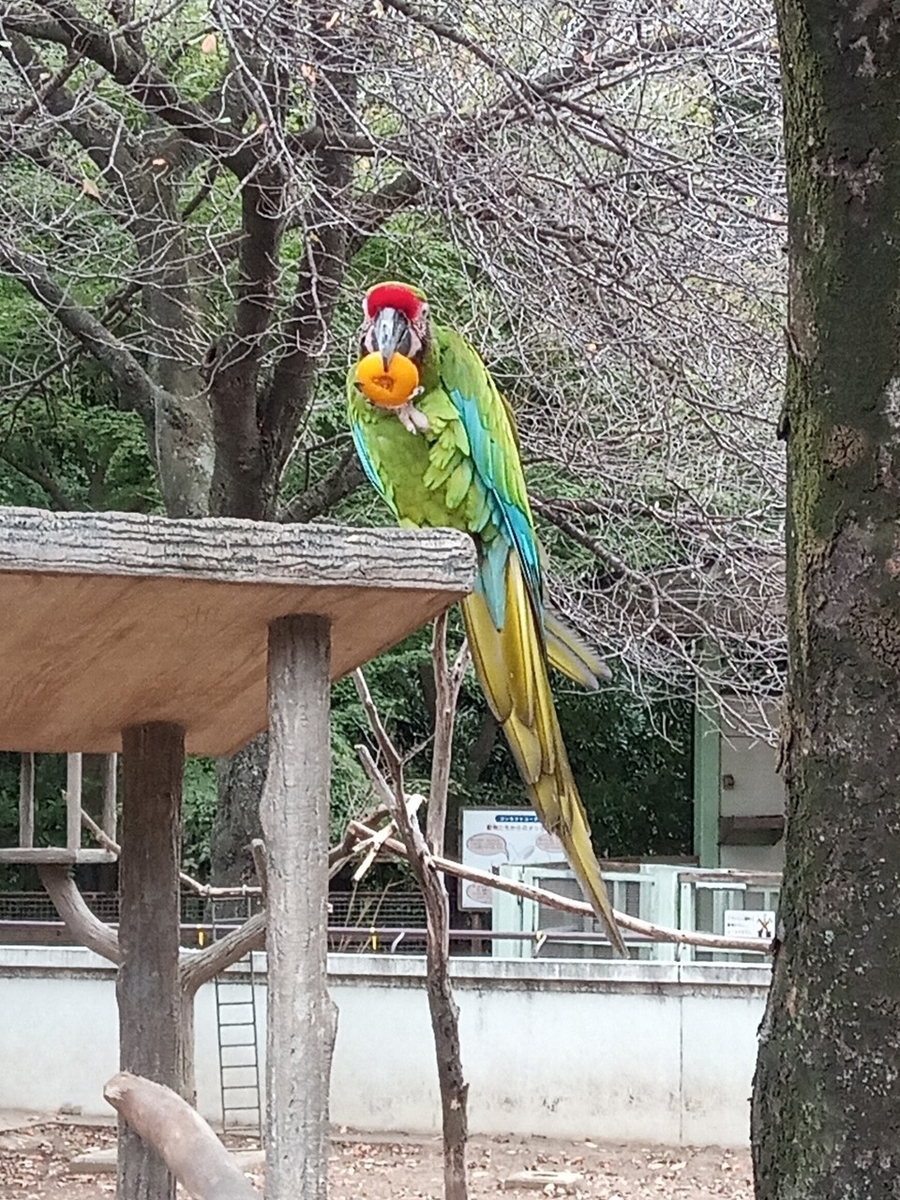 f:id:defectiveness:20211020104534j:plain