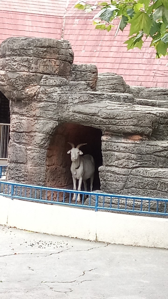 f:id:defectiveness:20211020104720j:plain