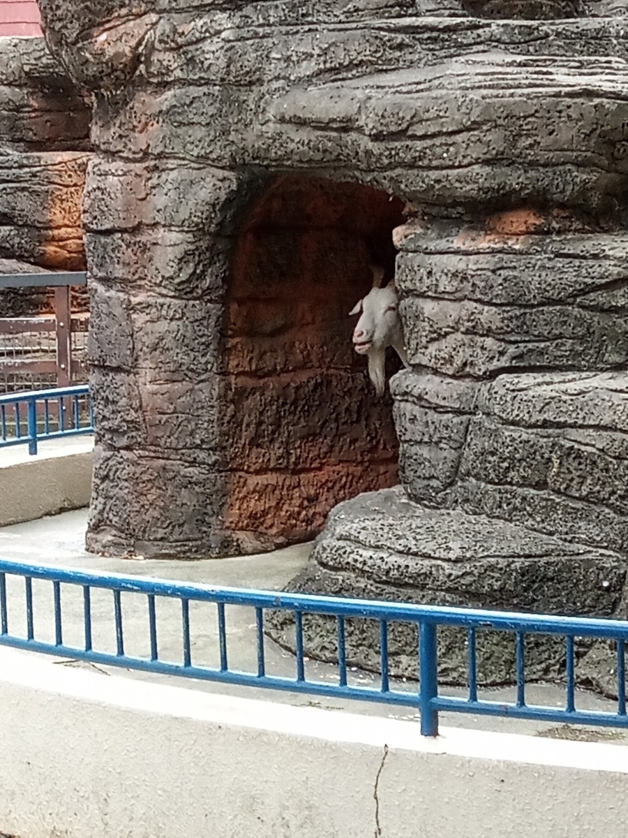 f:id:defectiveness:20211020104738j:plain