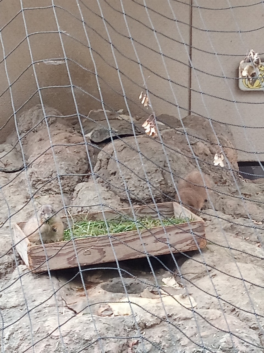 f:id:defectiveness:20211020104948j:plain