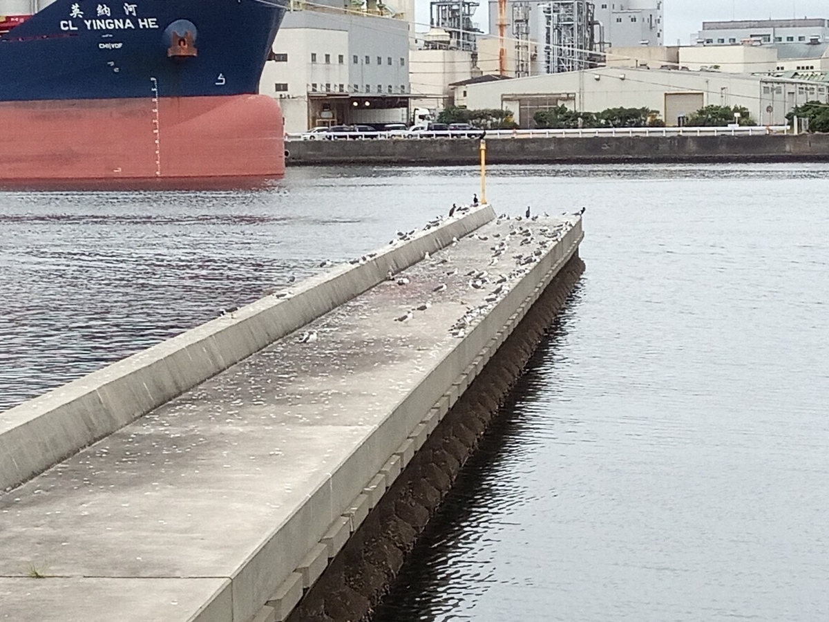 f:id:defectiveness:20211020105402j:plain