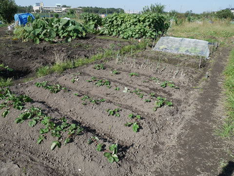 f:id:defender110:20161016220903j:plain