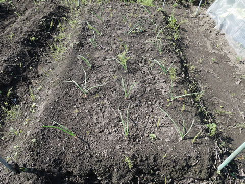 f:id:defender110:20161016221703j:plain