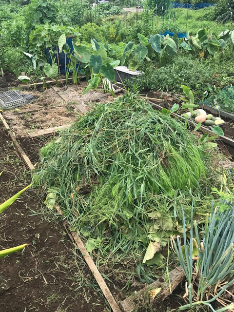 f:id:defender110:20180731214738j:plain