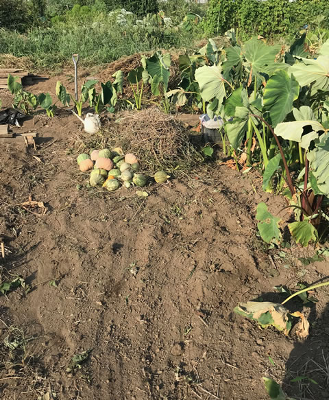 f:id:defender110:20180827063231j:plain