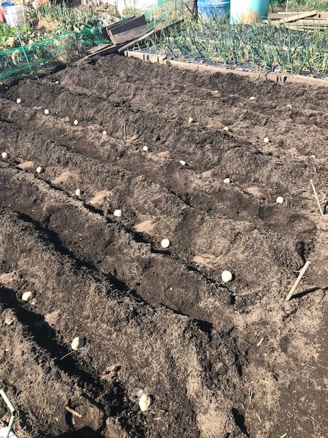 f:id:defender110:20190310062425j:plain