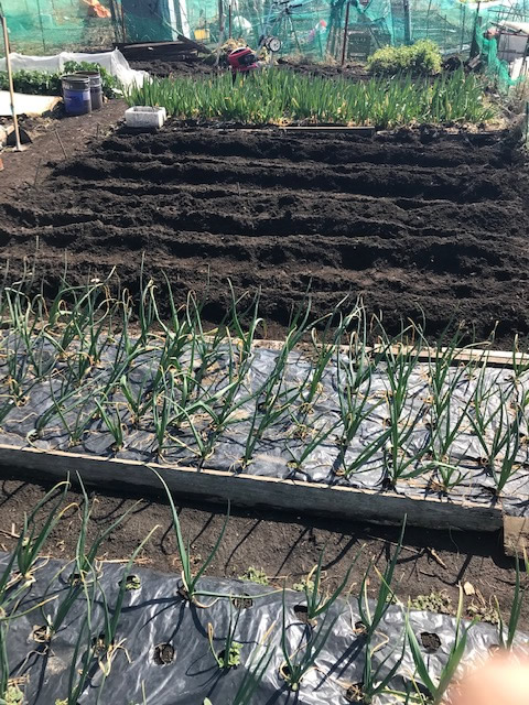 f:id:defender110:20190310062436j:plain