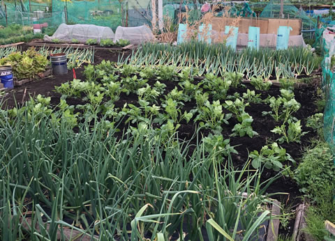 f:id:defender110:20190428073239j:plain f:id:defender110:20190428073239j:plain